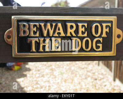 Attenzione al cane Foto Stock