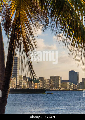 Una vista incorniciata da palme, dal Morro Castle attraverso l'Avana Bay degli edifici lungo il Malecon sul lungomare di La Habana Foto Stock