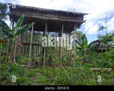 La giungla, Indonesia - 14 Gennaio 2015: case sugli alberi. In questo modo Korowaya tribù costruisce case in Papua Foto Stock