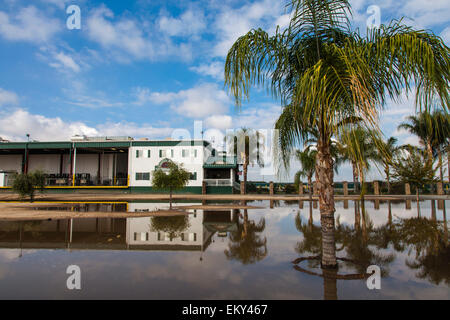 Castle Rock vigneti, Richgrove, Tulare County, California, Stati Uniti d'America Foto Stock