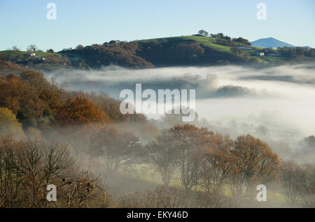 Pedemontana n la nebbia, Pays Basque Foto Stock