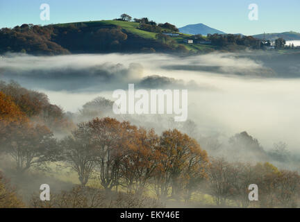 Pedemontana n la nebbia, Pays Basque Foto Stock