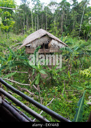 La giungla, Indonesia - 14 Gennaio 2015: case sugli alberi. In questo modo Korowaya tribù costruisce case in Papua Foto Stock