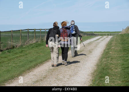 Gli escursionisti sulla Wayfayers a piedi nel nord Inghilterra Hampshire REGNO UNITO passando il galoppa a Whitehill vicino Kingsclere Foto Stock