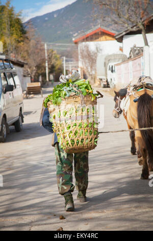 Naxi uomo cinese cale paniere di verdura; Lijiang, nella provincia dello Yunnan in Cina Foto Stock