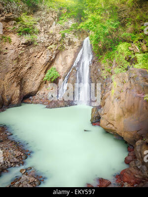 Bella cascata nella foresta pluviale. Bali Foto Stock