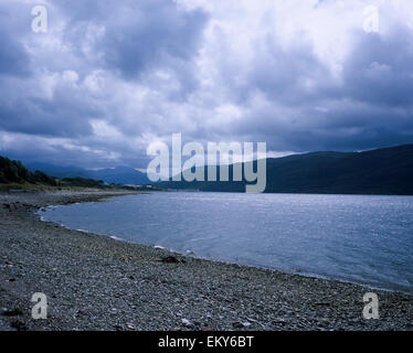 Il litorale di Loch superiore Ginestra dal North Shore Ullapool Wester Ross Scozia Scotland Foto Stock