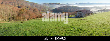 Pedemontana n la nebbia, Pays Basque Foto Stock