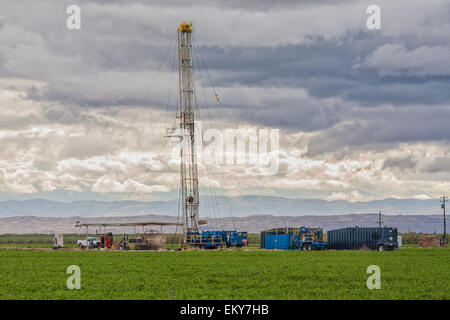 Olio su Derrick agricoltore del campo. Kern County, che si trova oltre il Monterey Shale, ha visto un drammatico aumento in oil drilling. Foto Stock