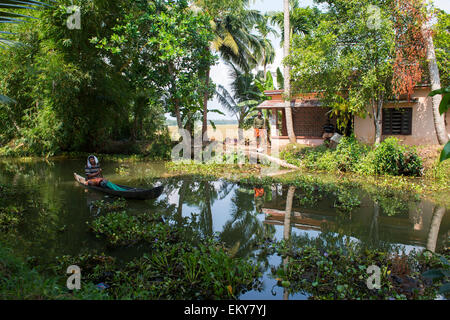 Un uomo a bordo di una canoa sul pacifico backwaters di Kumarakom Kerala India Foto Stock