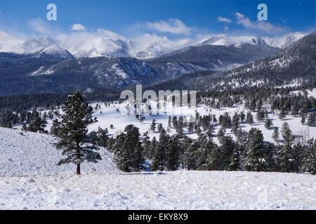 Inverno, Beaver Meadows, Rocky Mountain National Park, COLORADO, Stati Uniti d'America Foto Stock