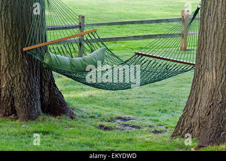 Amaca verde e cuscino sospeso tra due alberi di quercia. Foto Stock