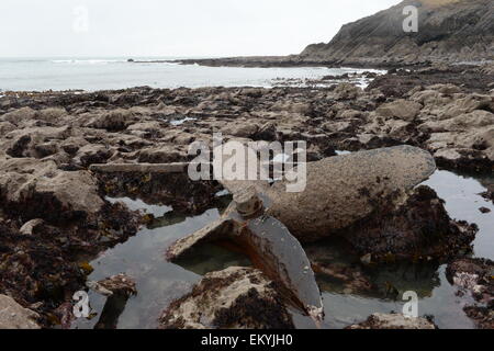 Relitto dell'Agnese 1886 più di duecento cinquanta navi sono venuti a lutto lungo Gower occupato e infido litorale Foto Stock