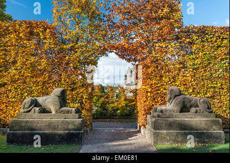 Biddulph Grange giardino, Staffordshire, Regno Unito, in autunno. Una coppia di sfingi di pietra nel "Egitto" giardino, con agganciato il faggio hedge Foto Stock