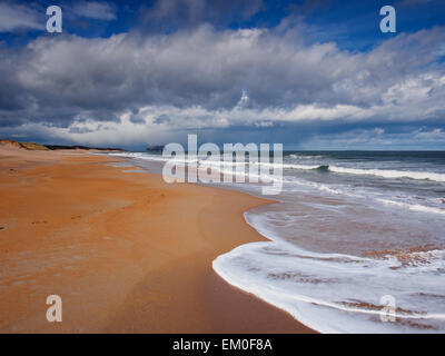 La spiaggia di sabbia a John Muir Country Park con il Bass Rock la distanza, in East Lothian, Scozia. Foto Stock
