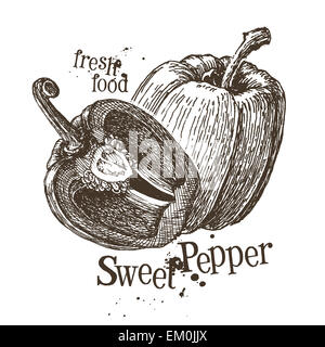 Vettore di pepe logo design modello. verdure fresche, cibo o icona di cottura. Foto Stock