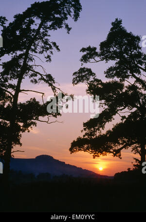 Silhouette di anello Chanctonbury hillfort & faggio ammassarsi visto all'orizzonte al tramonto guardando da Wiston Park. Foto Stock