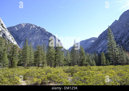 La foto è stata scattata in una giornata di sole in Kings Canyon National Park (CA) Foto Stock