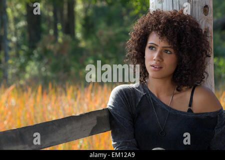 Furious 7 in alternativa nota come Fast & Furious 7)[7] è un 2015 American film d'azione diretto da James Wan e scritto da Chris Morgan. È il settimo episodio in The Fast and the Furious franchise. Questa fotografia è per il solo uso editoriale ed è il copyright del film company e/o il fotografo assegnato dal film o società di produzione e può essere riprodotto solo da pubblicazioni in congiunzione con la promozione del film di cui sopra. Un credito per il film company è richiesto. Il fotografo deve anche essere accreditato quando noto. Foto Stock