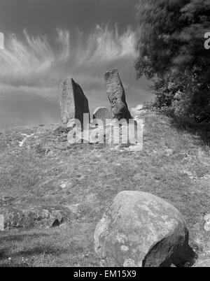 Pietra disturbato sepoltura camera (frammenti di ceramiche, una sega in selce e resti umani) alla fine e del Neolitico Coldrum Long Barrow, Medway Valley, Kent. Foto Stock