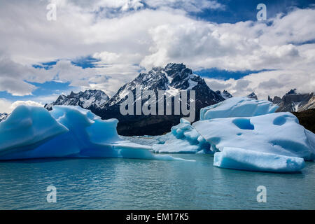 Iceberg in grigio laguna glaciale (Lago grigio) vicino al ghiacciaio Grey nel Parco Nazionale Torres del Paine nel sud del Cile Foto Stock