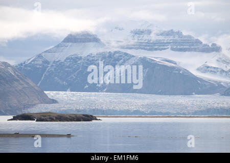 Guarnizioni di tenuta su un promentory con montagne & ghiacciaio kongsvegen oltre, visto oltre kongsfjorden da ny-alesund, spitzbergen, Svalbard. Foto Stock