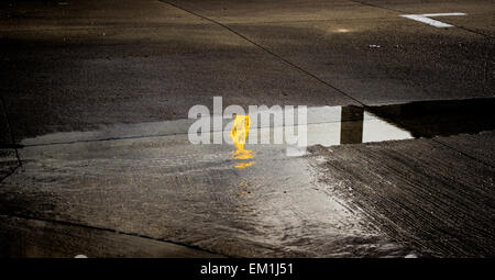 Nessun segno di uscita riflessa in una pozza in strada Foto Stock