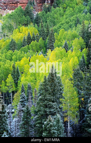 Montare Sneffels gamma con neve fresca, Colorado, STATI UNITI D'AMERICA Foto Stock