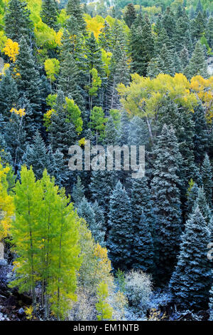 Montare Sneffels gamma con neve fresca, Colorado, STATI UNITI D'AMERICA Foto Stock