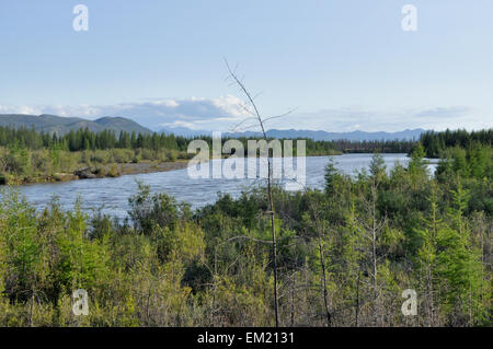 Acqua estate paesaggio che circonda il fiume Suntar negli altopiani di Oymyakon, Yakutia, Russia. Foto Stock