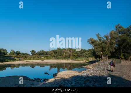 Stagni vicino al fiume Danubio 20km a valle di Vienna Foto Stock