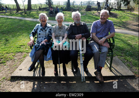 Quattro amici anziani ridere su un banco di lavoro in grande Ayton, North Yorkshire, Inghilterra, Gran Bretagna, North Yorkshire, Regno Unito. Foto Stock