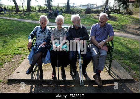 Quattro amici anziani ridere su un banco di lavoro in grande Ayton, North Yorkshire, Inghilterra, Gran Bretagna, North Yorkshire, Regno Unito. Foto Stock