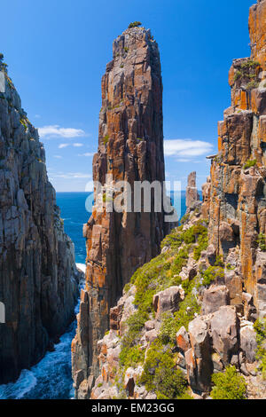 Il candelabro, Cape Hauy - Tasman National Park - Tasmania - Australia Foto Stock