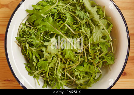 Baby di rucola Foto Stock