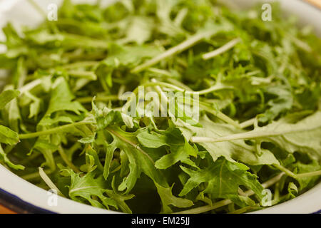 Baby di rucola Foto Stock