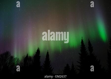 Aurora Boreale nel nord del Minnesota Foto Stock