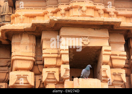 Dettaglio del tempio Jain facciata, Jaisalmer, Rajasthan, India Foto Stock