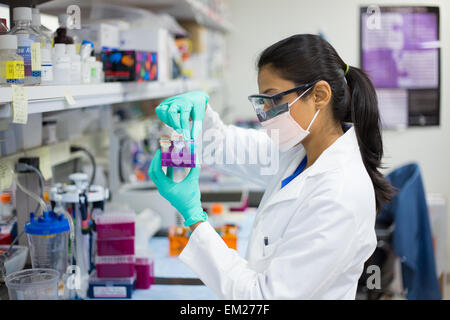 Closeup Ritratto, giovane scienziato in labcoat indossando guanti di nitrile, fare esperimenti in laboratorio, settore accademico. Foto Stock