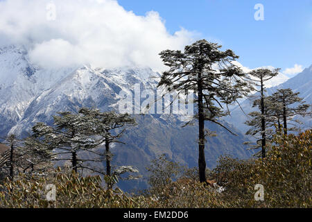 Movimento delle nubi sulle montagne Kongde Ri, Himalaya, Nepal. Foto Stock