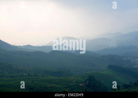 La nebbia e la luce per le colline di Munnar, Kerala India Foto Stock