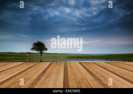 Moody cielo tempestoso riflessa in stagno di rugiada paesaggio di campagna con doghe in legno piano Foto Stock