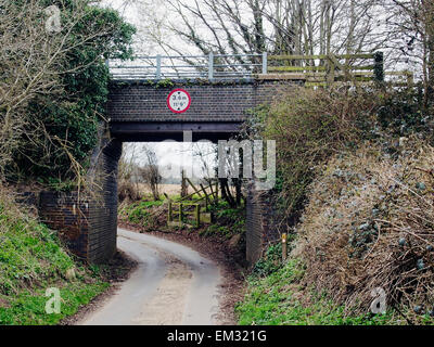 Un ponte basso con segnale di avvertimento su un vicolo del paese di Norfolk. Molti vecchi ponti ferroviari rappresentano un pericolo per i veicoli di grandi dimensioni. Foto Stock