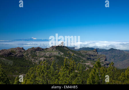 Gran Canaria, Los Cumbres - le zone più alte dell'isola, vista verso la Roque Nublo e sul Teide Tenerife Foto Stock