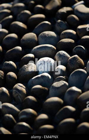 Tipica ligure pavimentazione in pietra per il sagrato Foto Stock