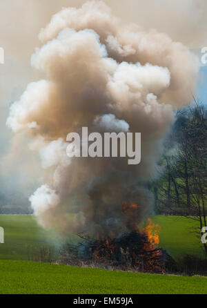 Un falò in un campo, Herefordshire, Inghilterra. Foto Stock