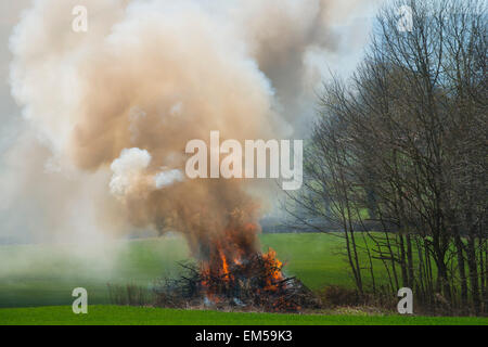 Un falò in un campo, Herefordshire, Inghilterra. Foto Stock