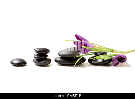 Massaggio con pietre di fiori sul tappetino Foto Stock