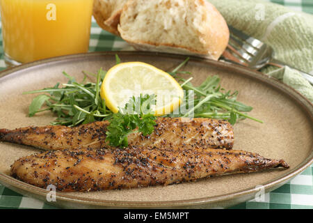 Alla griglia condito di filetti di sgombro limone wit baby e foglie di rucola Foto Stock