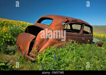 WA10334-00...WASHINGTON - la vecchia auto abbandonate in un campo in dalles Mountain Ranch, ora parte di Columbia Hills State Park. Foto Stock